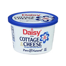 Wholesale Daisy Each Small Curd Cottage Cheese 4% Fat- Bulk