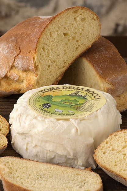 Wholesale Langa Toma Della Rocca- Bulk