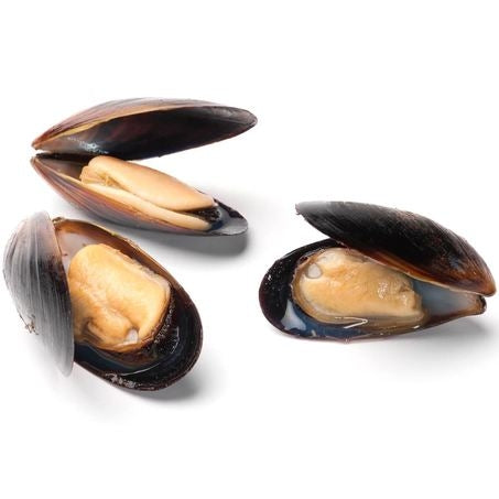 Wholesale Panapesca Each Regular Blue Mussels- Bulk