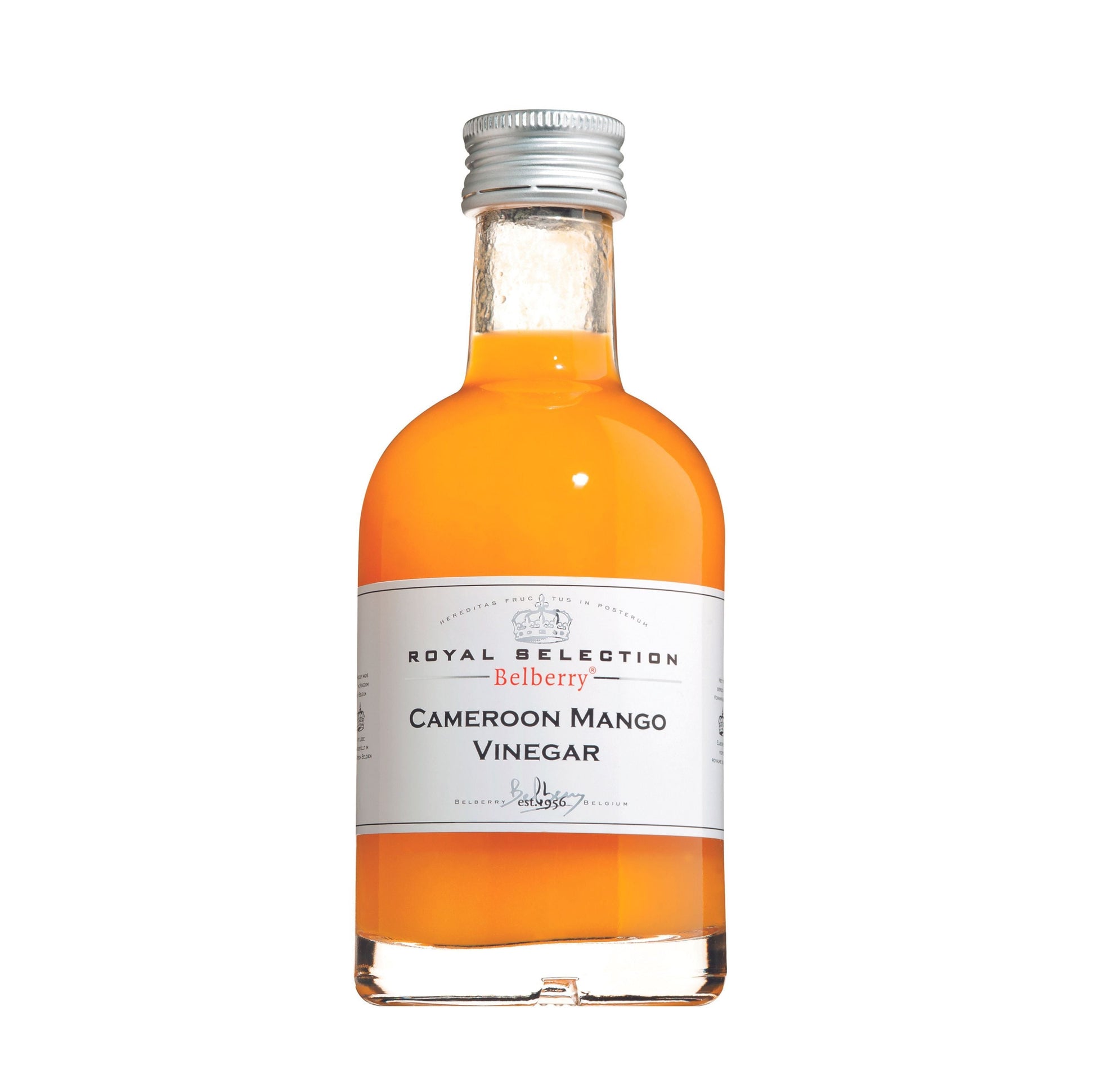 Wholesale Belberry Vinegar Cameroon Mango- Bulk