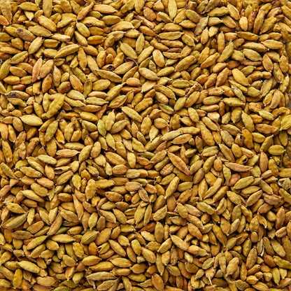 Wholesale Burlap & Barrel Whole Cloud Forest Cardamom Pods 12oz- Bulk