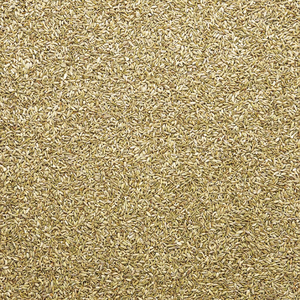 Wholesale Burlap & Barrel Lucknow Fennel Seeds 14oz- Bulk
