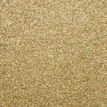 Wholesale Burlap & Barrel Lucknow Fennel Seeds 14oz- Bulk