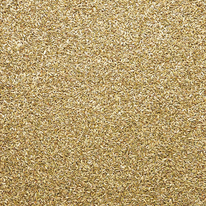 Wholesale Burlap & Barrel Lucknow Fennel Seeds 14oz- Bulk