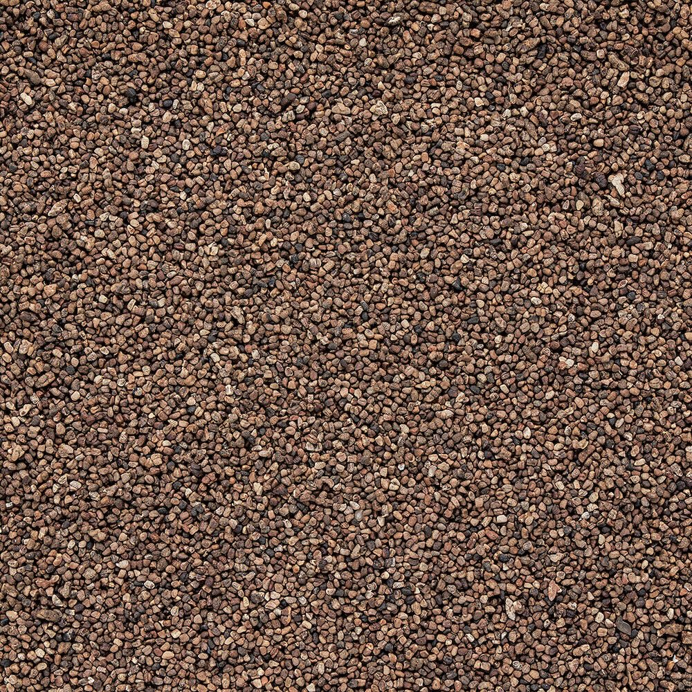 Wholesale Burlap & Barrel Cloud Forest Cardamom Seeds 16oz- Bulk