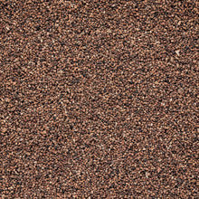 Wholesale Burlap & Barrel Cloud Forest Cardamom Seeds 16oz- Bulk