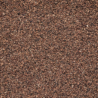 Wholesale Burlap & Barrel Cloud Forest Cardamom Seeds 16oz- Bulk