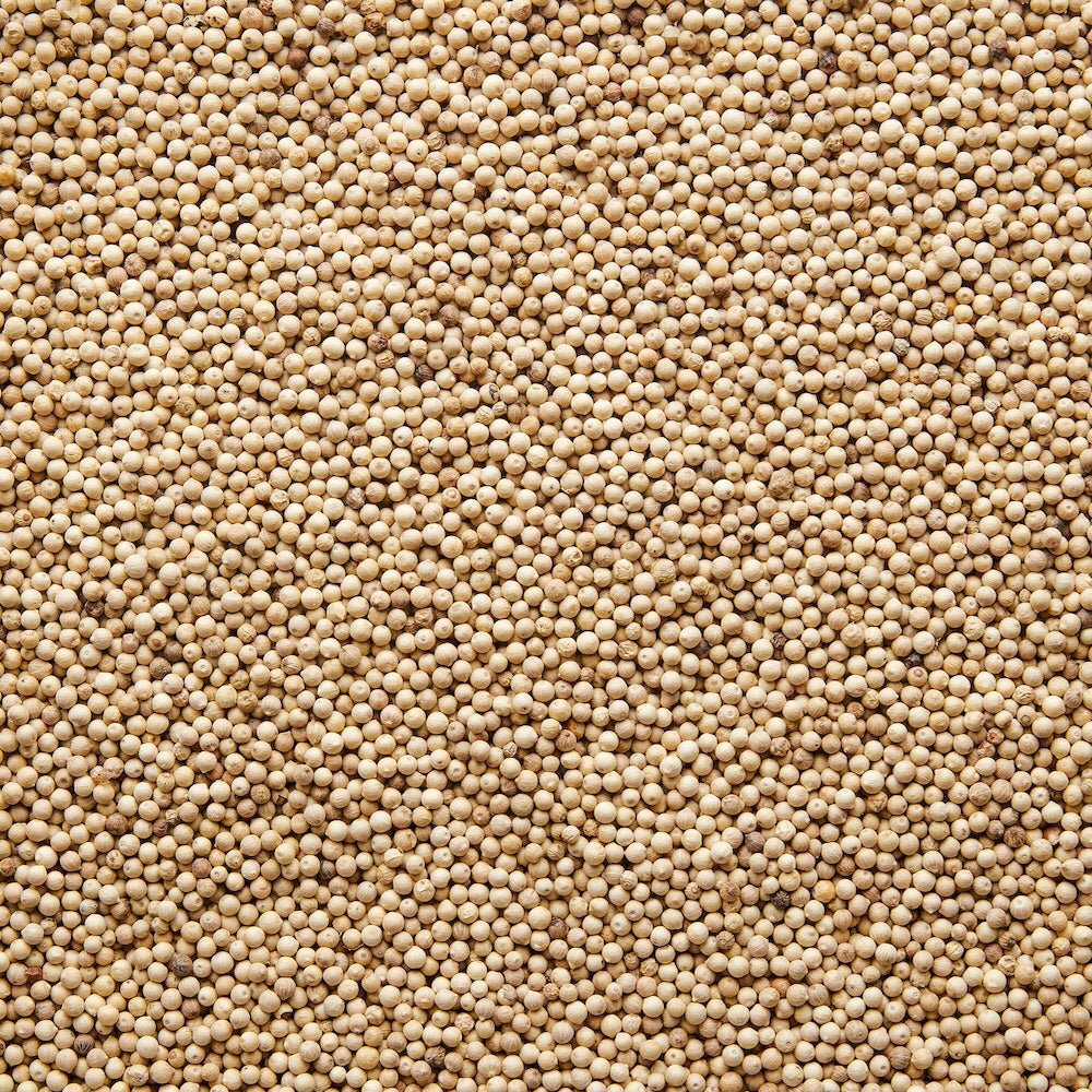 Wholesale Burlap & Barrel Whole Fermented White Peppercorns 16oz- Bulk