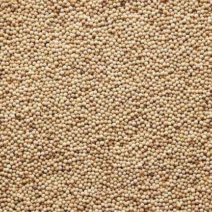 Wholesale Burlap & Barrel Whole Fermented White Peppercorns 16oz- Bulk