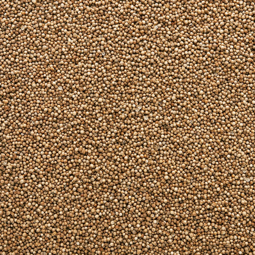 Wholesale Burlap & Barrel Whole Red River Coriander 9oz- Bulk