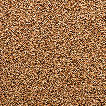 Wholesale Burlap & Barrel Whole Red River Coriander 9oz- Bulk