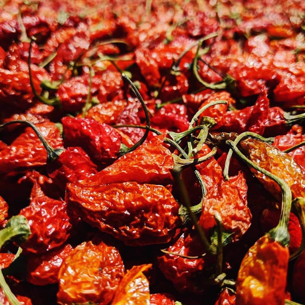 Wholesale Burlap & Barrel Cobanero Chili Flakes 10oz- Bulk