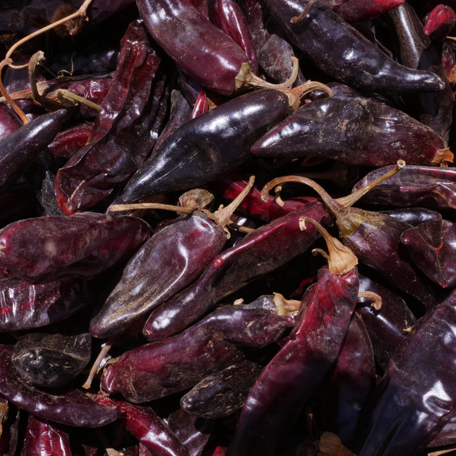 Wholesale Burlap & Barrel Guajillo Chili Powder 16oz- Bulk