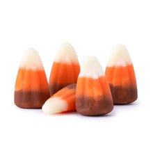 Wholesale Zachary Indian Corn- Bulk