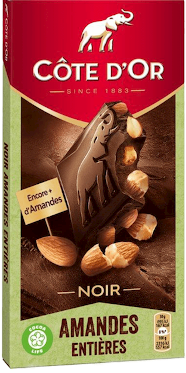 Wholesale Côte d'Or Dark Chocolate Blocks with Whole Almonds 6.35 OZ- Bulk
