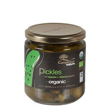 Wholesale Campomar Nature Organic Pickles with Cumin ()- Bulk