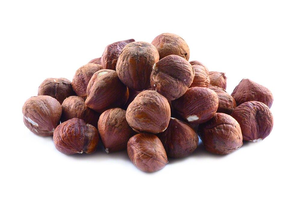 Wholesale Setton Farms Oregon Raw Redskin Treated Filberts 25 lb Bulk Box- Bulk