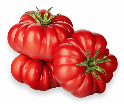 Wholesale BoxNCase Case Heirloom Tomato- Bulk