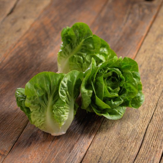 Wholesale Dix Farms Prd Lettuce Honey Gem- Bulk