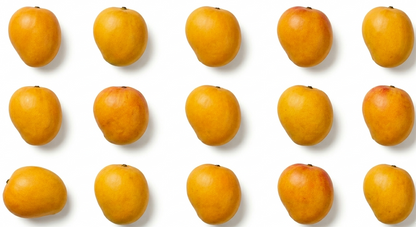 Wholesale BoxNCase Fresh Indian Alphonso Mangos - Premium Imported Sweet Mangoes - Full Case- Bulk