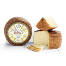 Wholesale Manchego DOP El Trigal? 1 yr.- Bulk