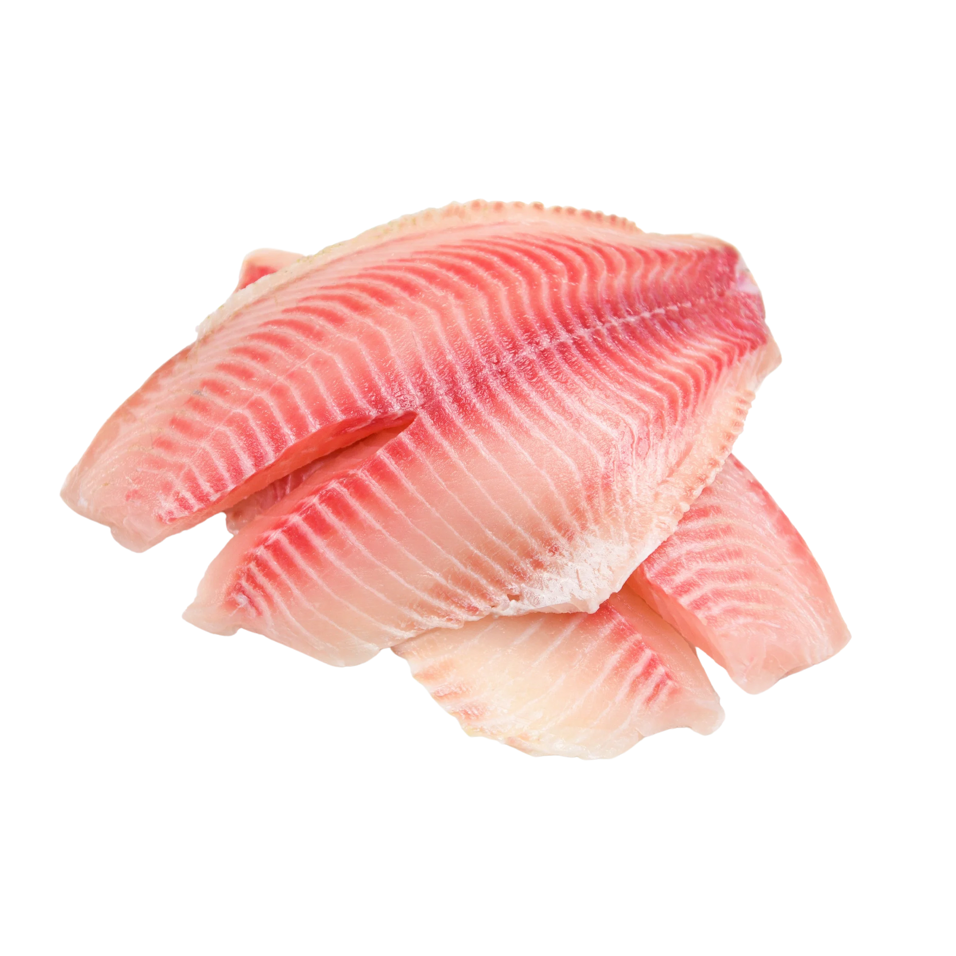 Wholesale Sea Best Case Tilapia Fillet Vacuum Packed 7/9Oz- Bulk