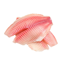 Wholesale Sea Best Case Tilapia Fillet Vacuum Packed 7/9Oz- Bulk