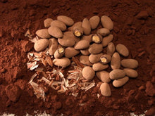 Wholesale Piedras de Chocolate Almonds- Bulk