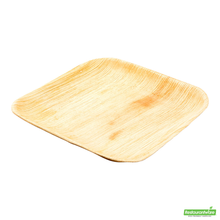 Wholesale BoxNCase 6" Palm Plate- Bulk