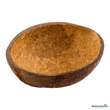 Wholesale Restaurantware Round Natural Coconut Shell Bowl - 3.5"×4"×1.5"- Bulk