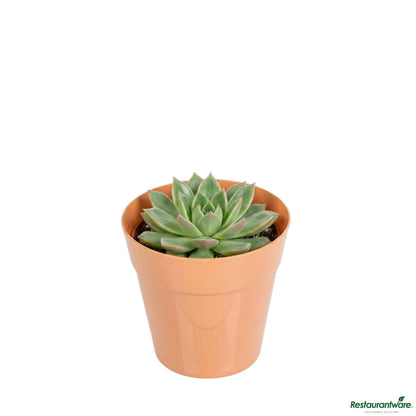 Wholesale Restaurantware 4 Oz Round Terracotta Plastic Mini Flower Pot - 2 1/2" X 2 1/2" X 2 1/2"- Bulk
