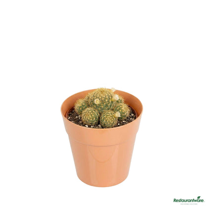 Wholesale Restaurantware 4 Oz Round Terracotta Plastic Mini Flower Pot - 2 1/2" X 2 1/2" X 2 1/2"- Bulk
