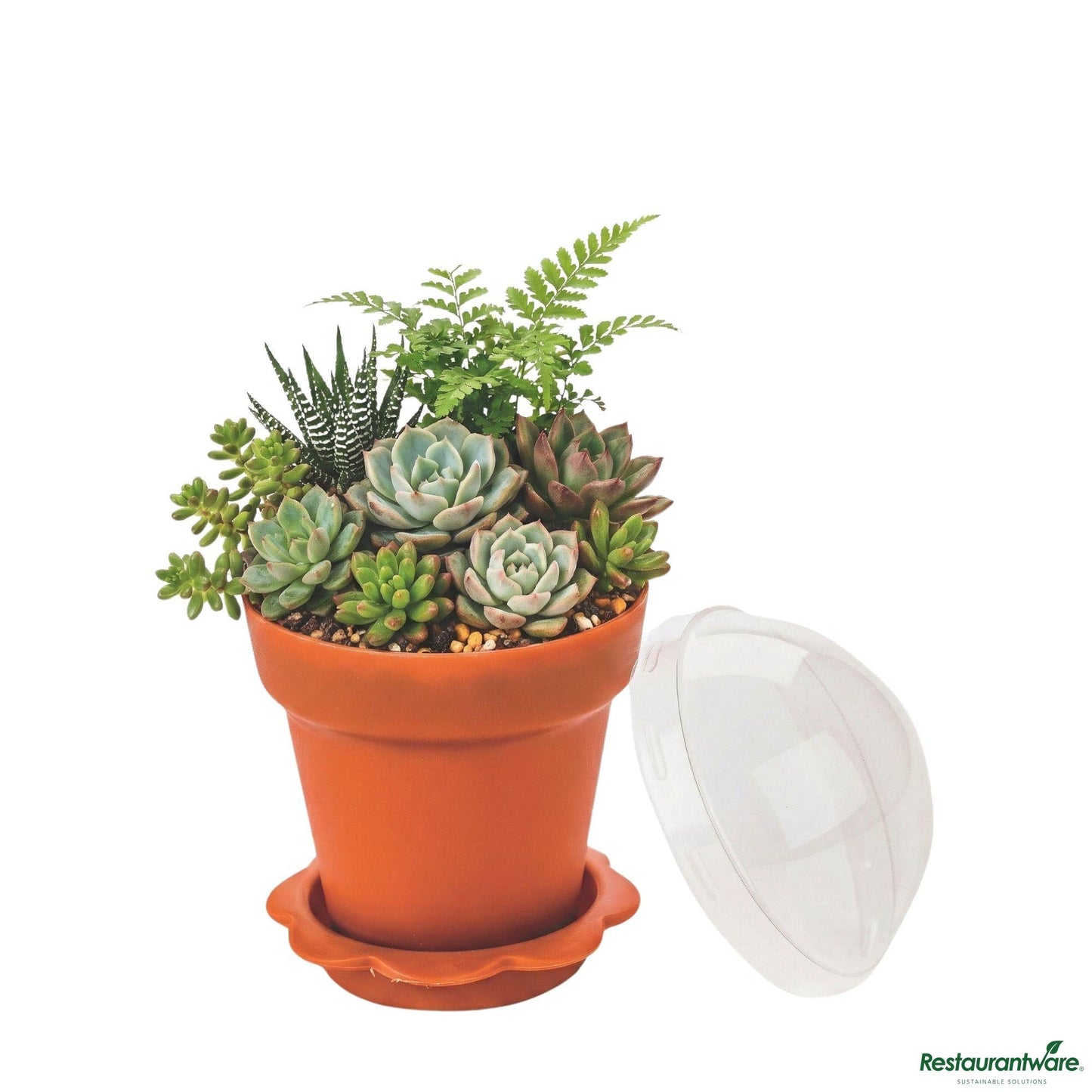 Wholesale Restaurantware 6 Oz Terracotta Plastic Mini Flower Pot Cup - with Lid - 3" X 3" X 3"- Bulk