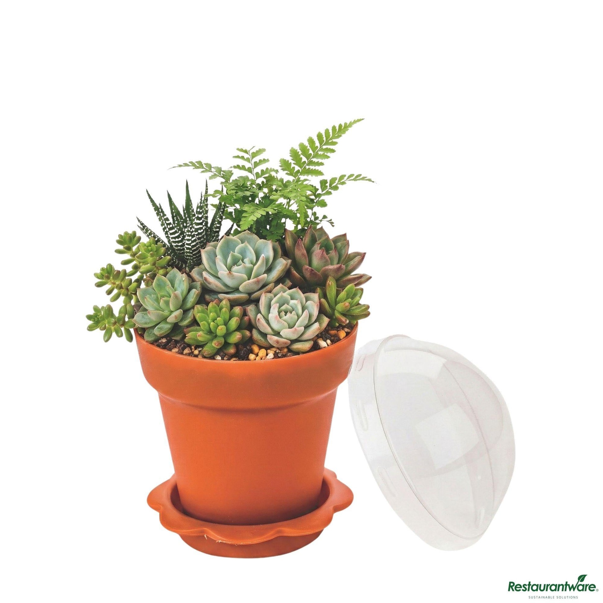 Wholesale Restaurantware 6 Oz Terracotta Plastic Mini Flower Pot Cup - with Lid - 3" X 3" X 3"- Bulk