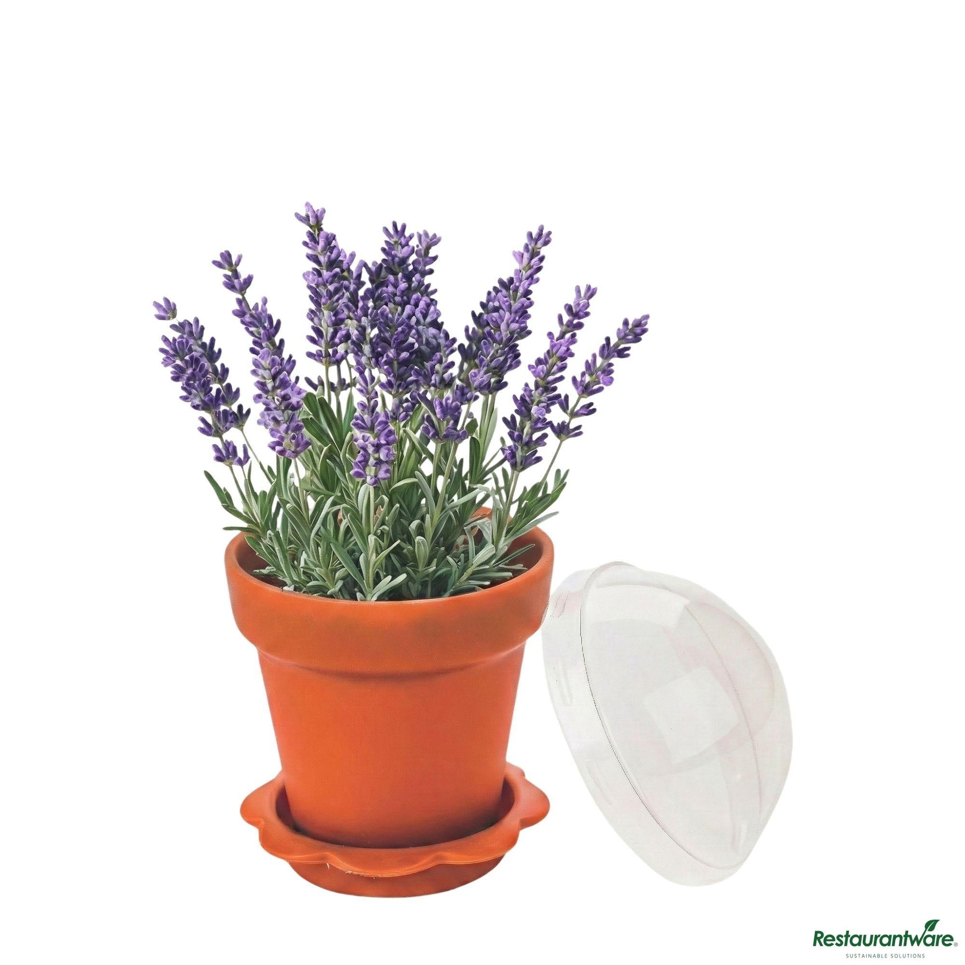 Wholesale Restaurantware 6 Oz Terracotta Plastic Mini Flower Pot Cup - with Lid - 3" X 3" X 3"- Bulk