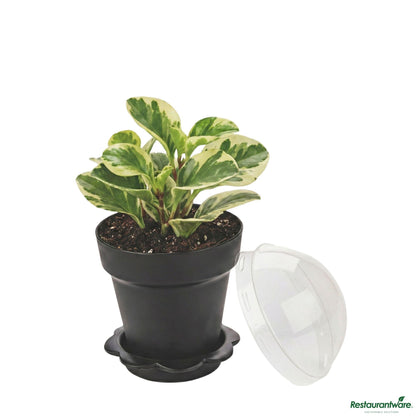 Wholesale Restaurantware 6 Oz Black Plastic Mini Flower Pot Cup - with Lid - 3" X 3" X 3"- Bulk