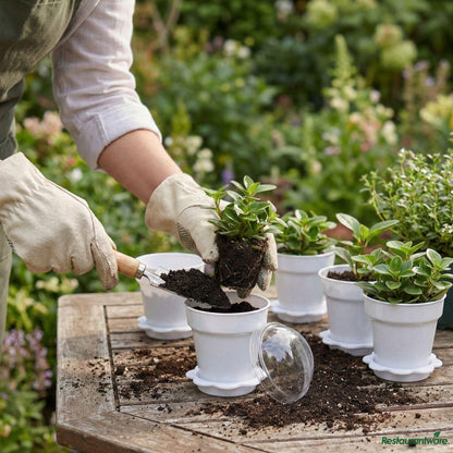 Wholesale Restaurantware 6 Oz White Plastic Mini Flower Pot Cup - with Lid - 3" X 3" X 3"- Bulk