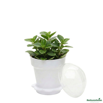 Wholesale Restaurantware 6 Oz White Plastic Mini Flower Pot Cup - with Lid - 3" X 3" X 3"- Bulk