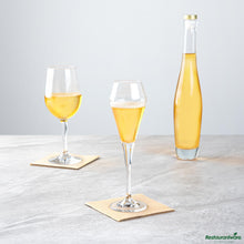 Wholesale Restaurantware 7 Oz Polycarbonate Champagne Flute - 2.7" X 2.7" X 9.1"- Bulk