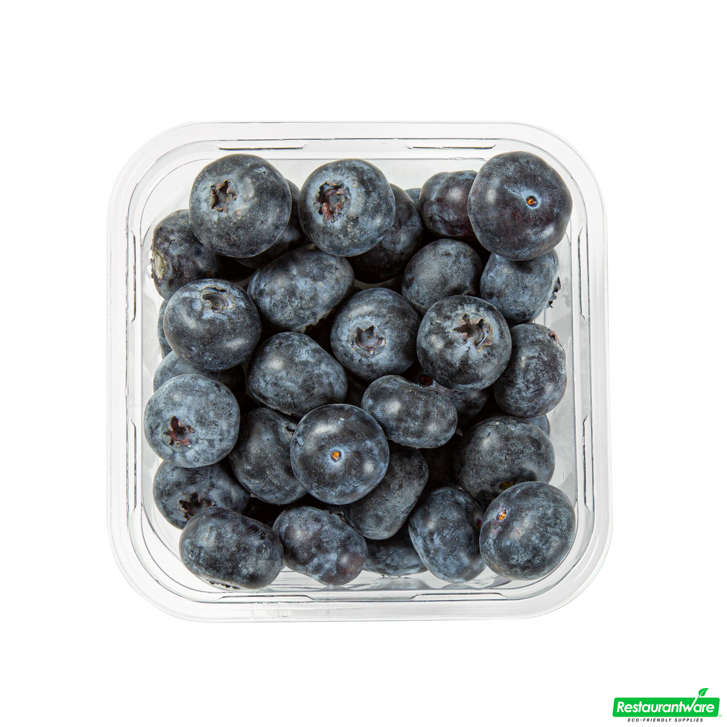 Wholesale Restaurantware Thermo Tek 12 Oz Square Clear Plastic Deli / Snack Container - 4 1/2" X 4 1/2" X 2" - 50 Count Box- Bulk