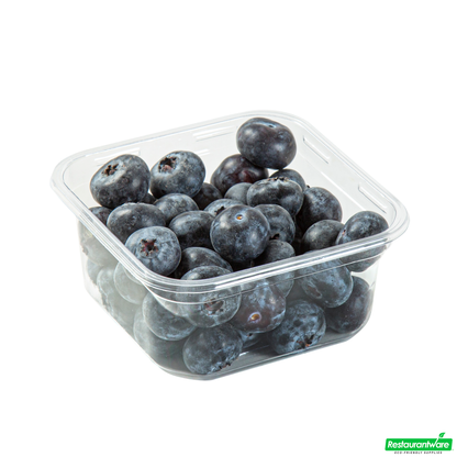 Wholesale Restaurantware Thermo Tek 12 Oz Square Clear Plastic Deli / Snack Container - 4 1/2" X 4 1/2" X 2" - 100 Count Box- Bulk