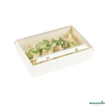 Wholesale Restaurantware Rectangle Clear Plastic Lid - Fits 25 Oz Bento Box - 6.9" X 4.5" X 0.5"- Bulk