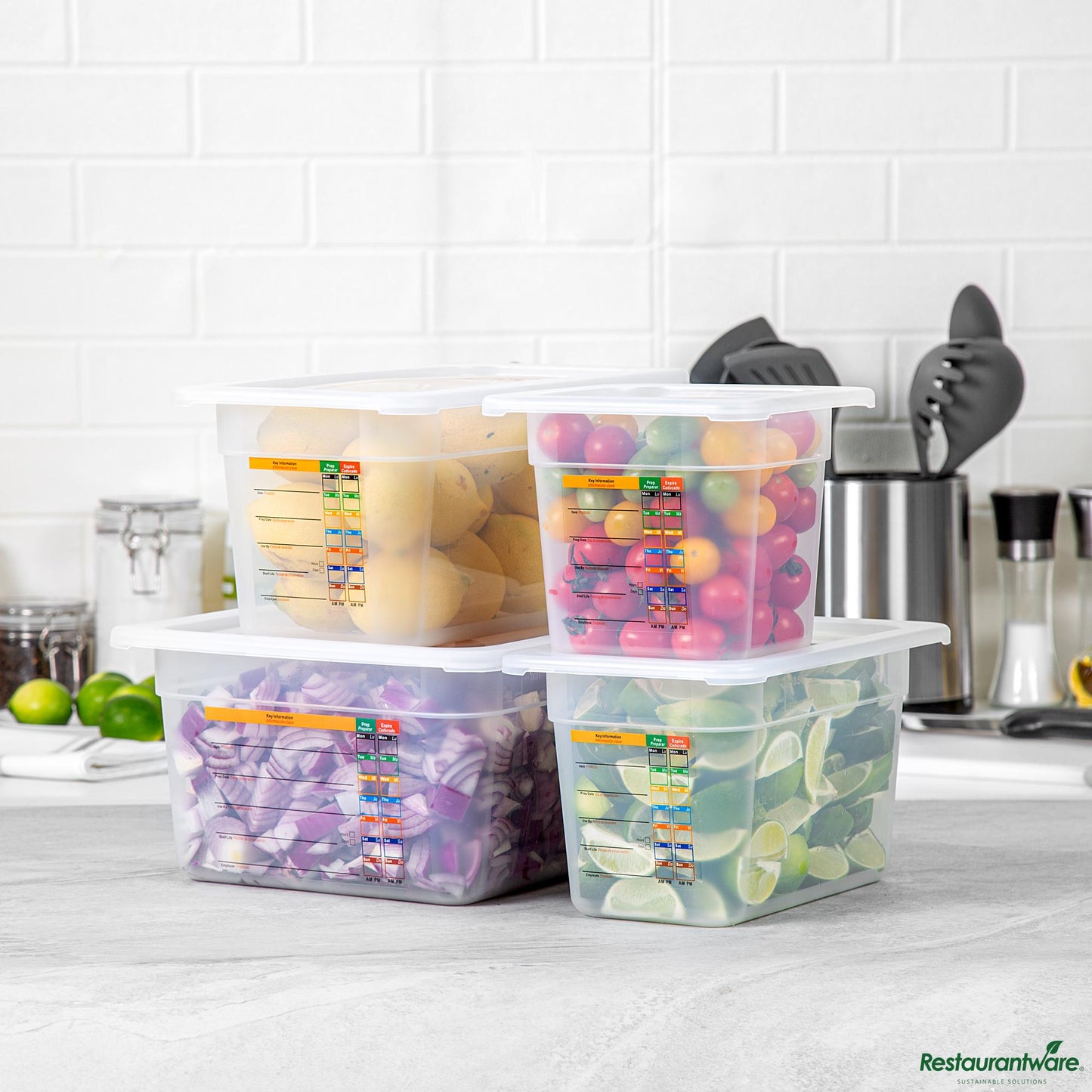 Wholesale Restaurantware 4-Piece Translucent Polypropylene Food Pan Set - 6" Deep - 16.3" X 14" X 7.9"- Bulk