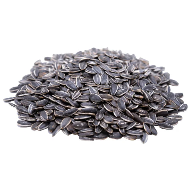 Wholesale Setton Farms Sunflower Shelled Roasted and Unsalted 16 Oz Tub- Bulk