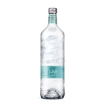 Wholesale Sant Aniol Rocks Natural Mineral Water, Still (16.9 fl oz)- Bulk