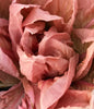 Wholesale Dix Farms Fresh Radicchio Rosa De Vineto- Bulk
