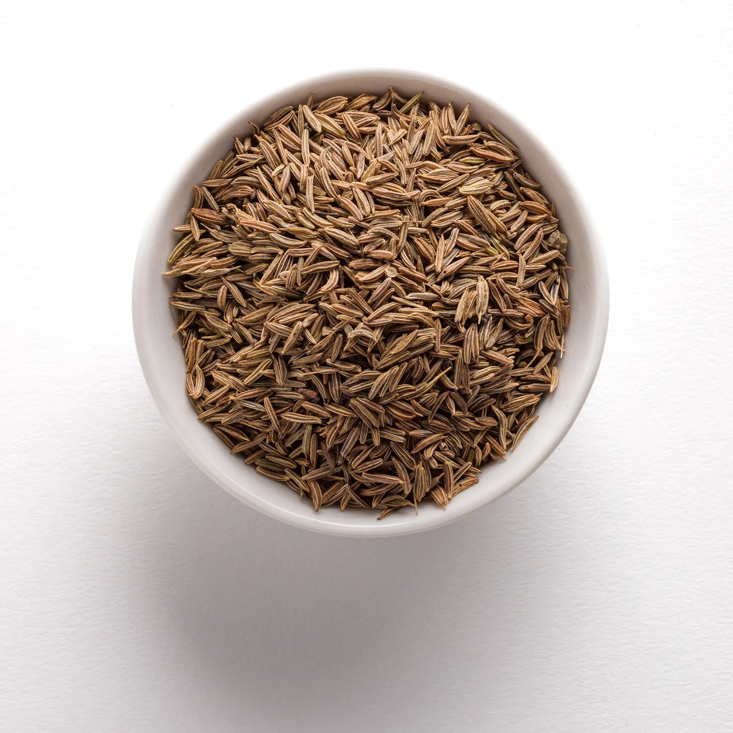 Wholesale BoxNCase Caraway Seed 16oz- Bulk