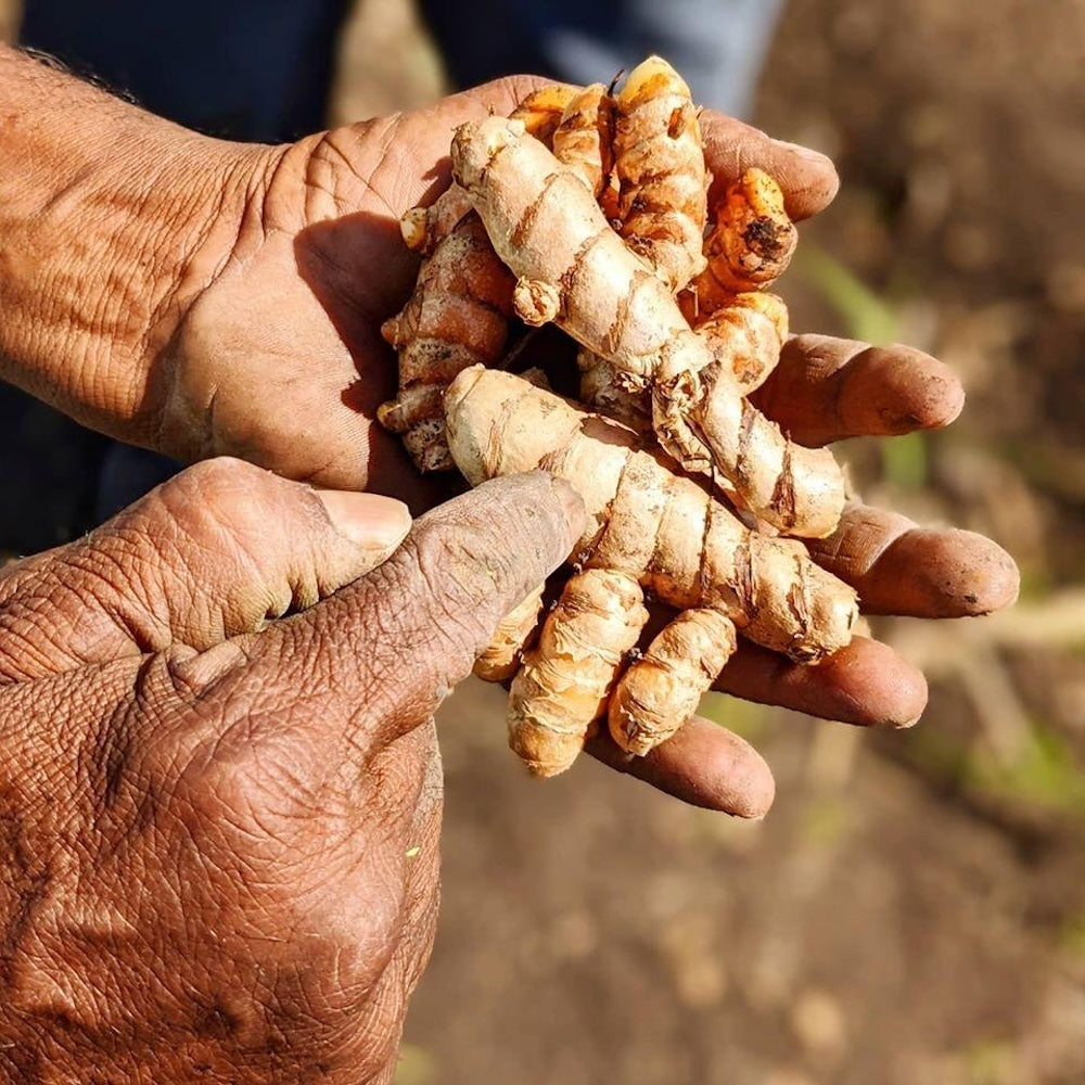 Wholesale Burlap & Barrel Ground New Harvest Turmeric 16oz- Bulk