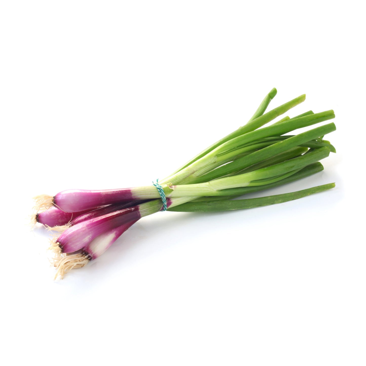 Wholesale Dix Farms Red Spring Onions- Bulk