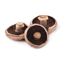 Wholesale Dix Farms Mushrooms Portabella Organic 5lb- Bulk